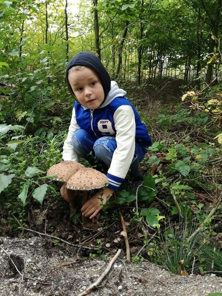 Zbiory Pawła i jego 7-letniego syna