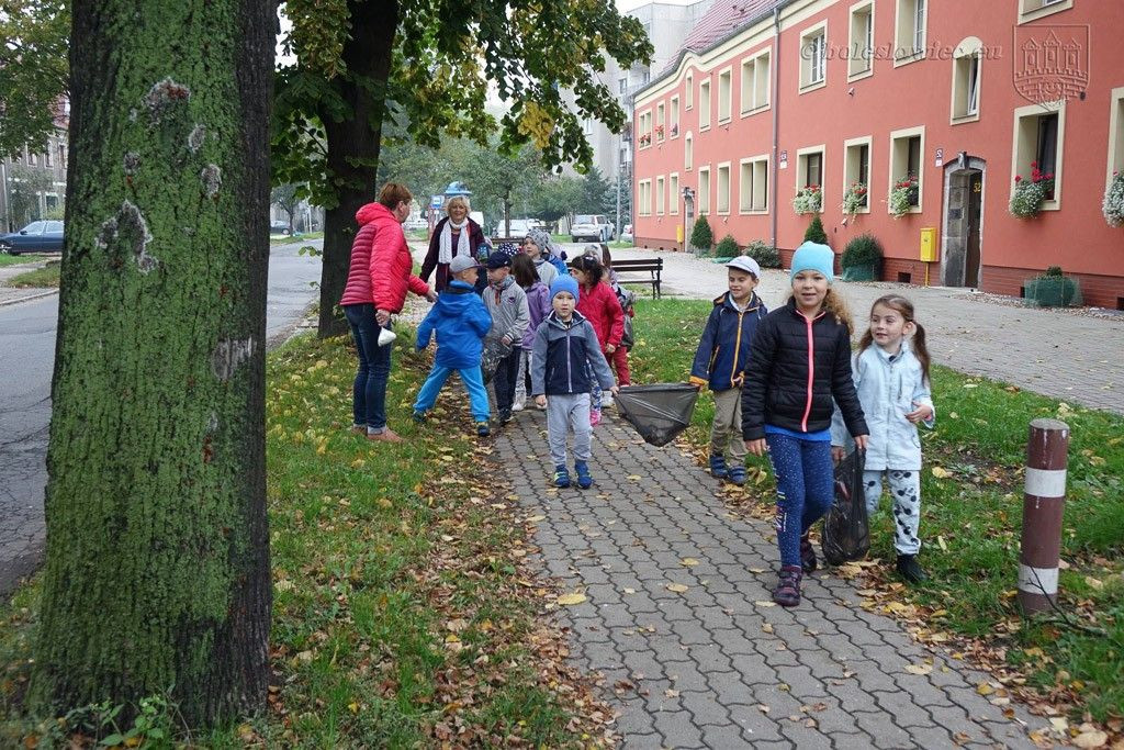 Maluchy posprzątały Bolesławiec