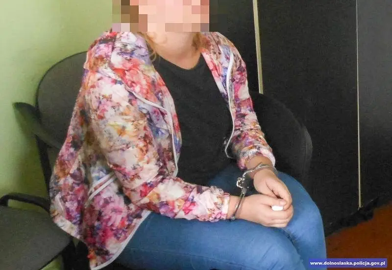 Przyjechali ze Zgorzelca, żeby ukraść auto. Przestępcze trio zatrzymane
