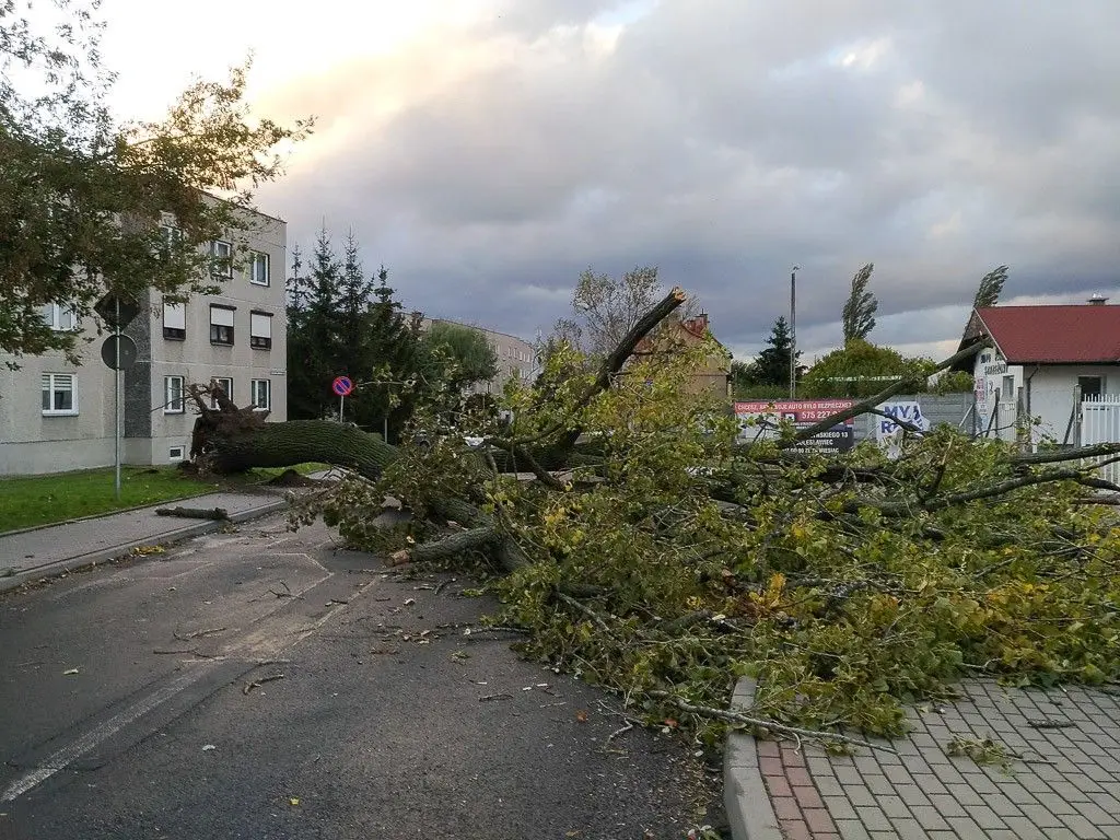 Masakryczna wichura szaleje w powiecie. Nie wychodźcie z domu