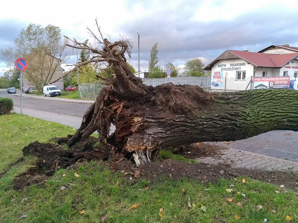 Masakryczna wichura szaleje w powiecie. Nie wychodźcie z domu