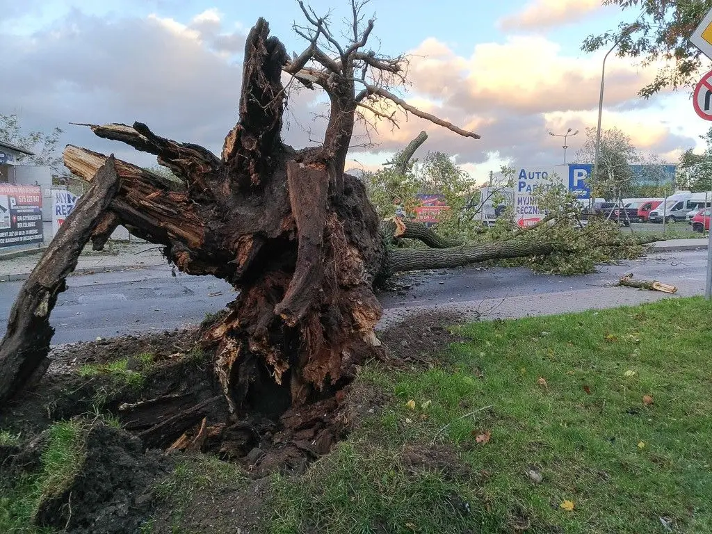 Masakryczna wichura szaleje w powiecie. Nie wychodźcie z domu