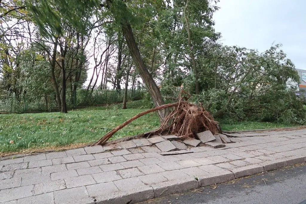 Masakryczna wichura szaleje w powiecie. Nie wychodźcie z domu