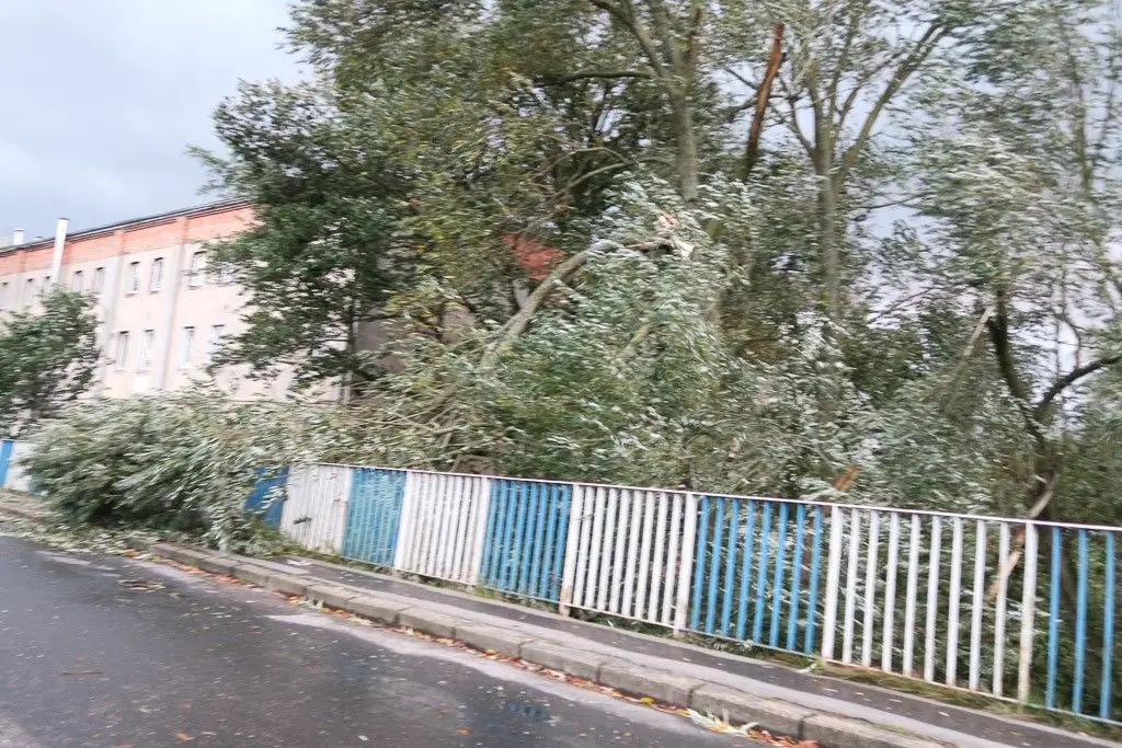 Masakryczna wichura szaleje w powiecie. Nie wychodźcie z domu