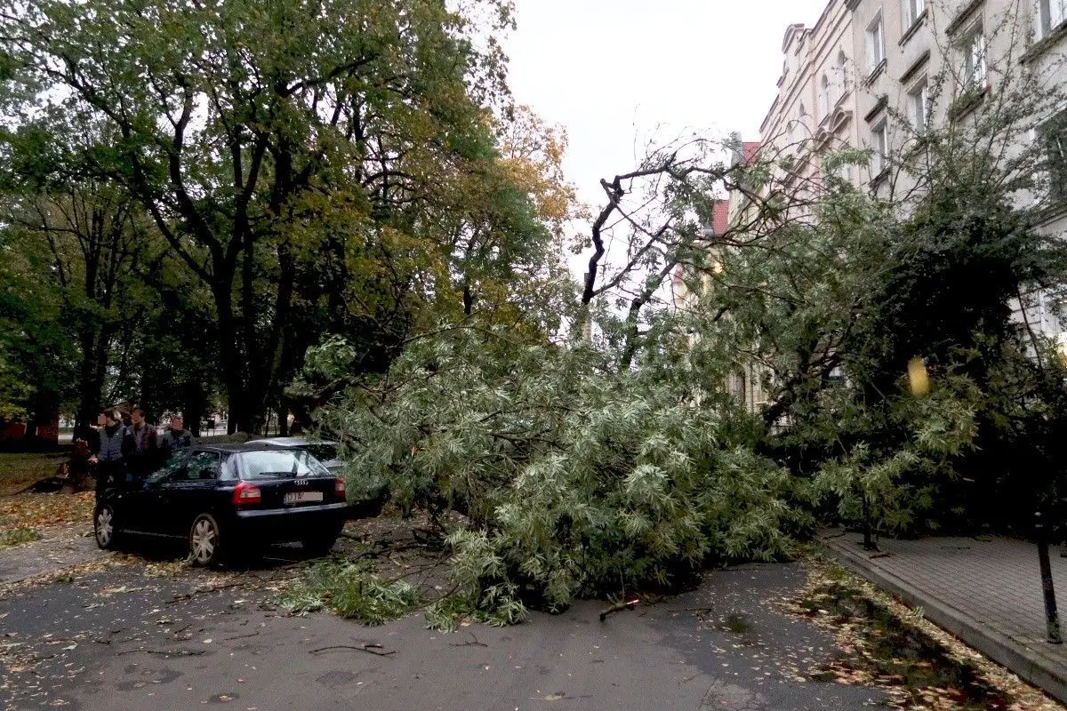 Wichura w Bolesławcu i powiecie