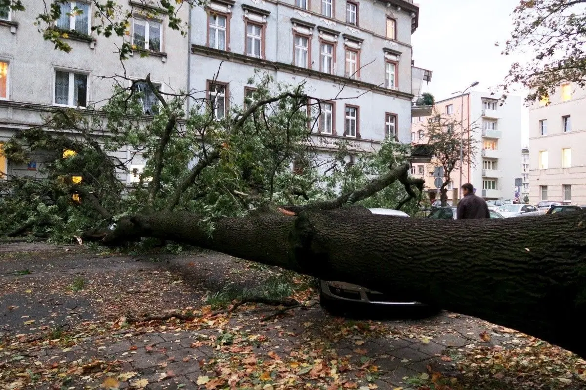 Wichura w Bolesławcu i powiecie
