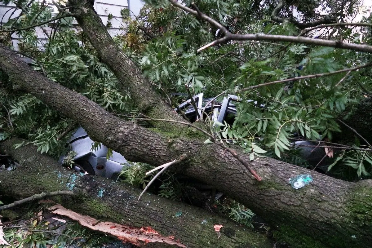 Wichura w Bolesławcu i powiecie