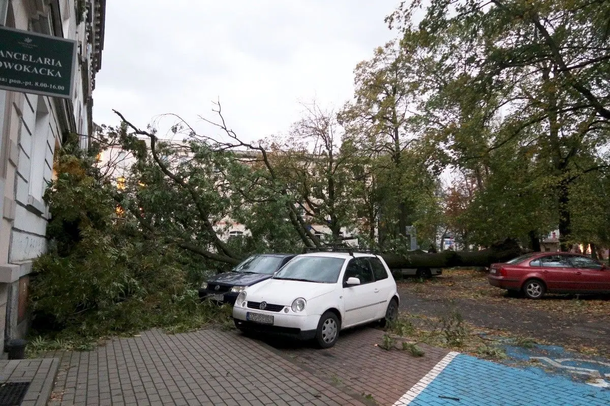 Wichura w Bolesławcu i powiecie