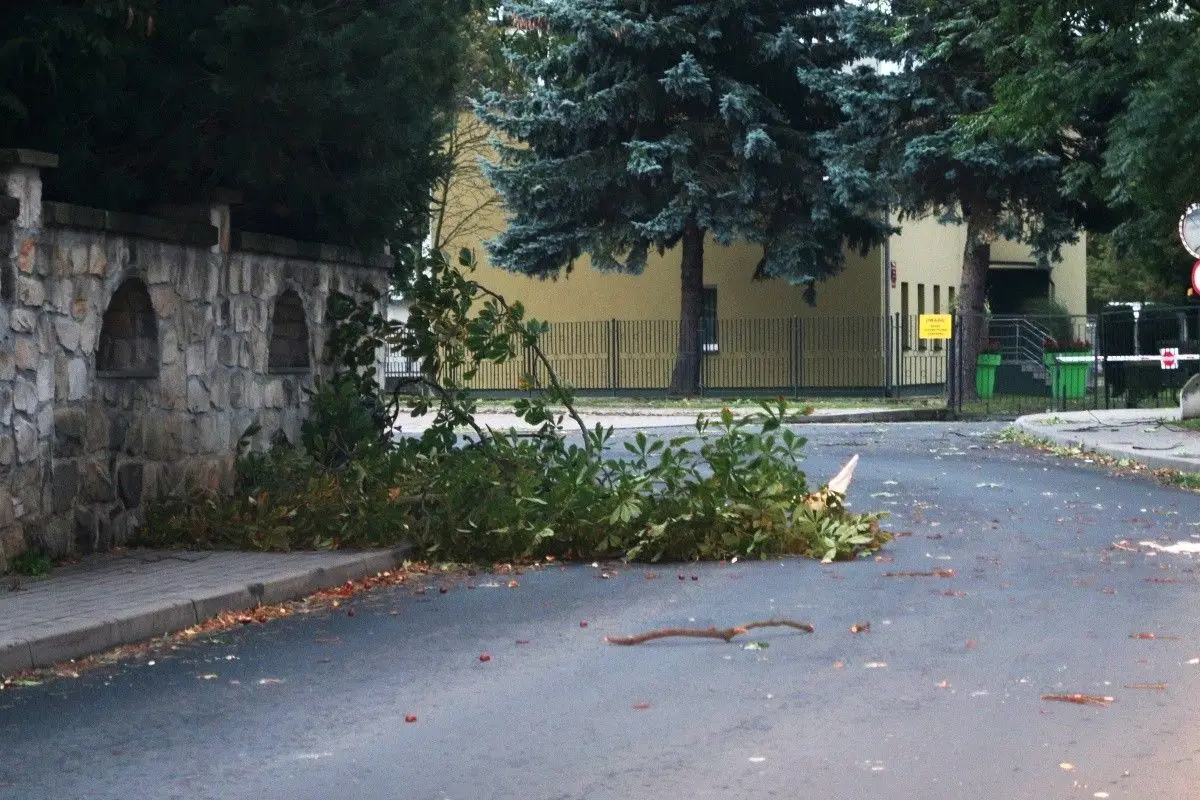 Wichura w Bolesławcu i powiecie