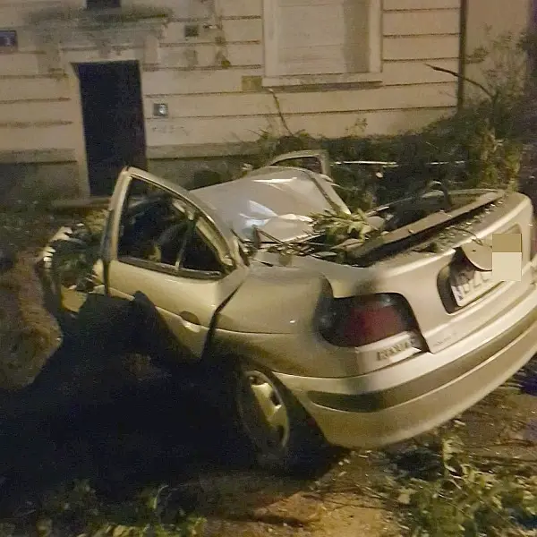 Na ulicy Kaszubskiej drzewo runęło na samochód.
