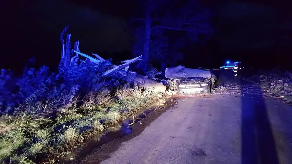 Koło Kraszowic drzewo runęło na auto – kierowca ranny