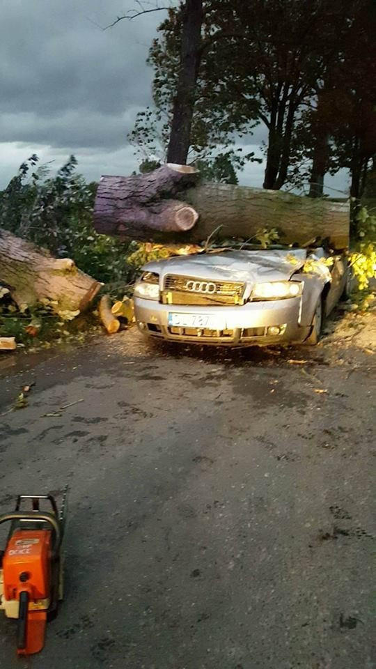 Koło Kraszowic drzewo runęło na auto – kierowca ranny