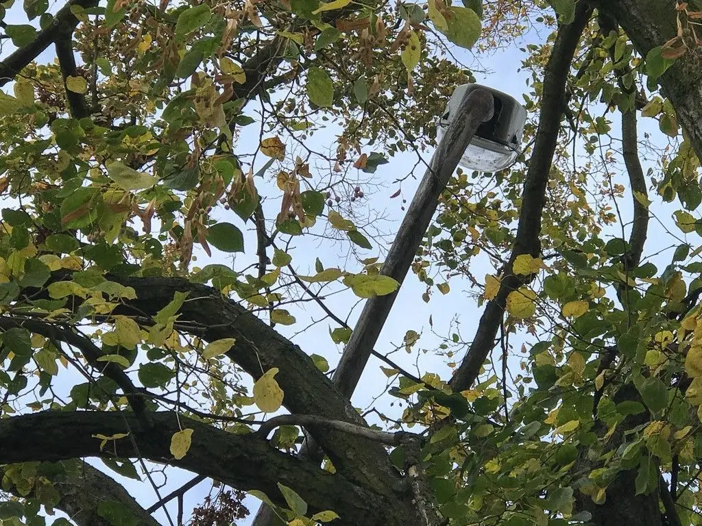 Zobacz, jakiego spustoszenia dokonała nawałnica w Bolesławcu