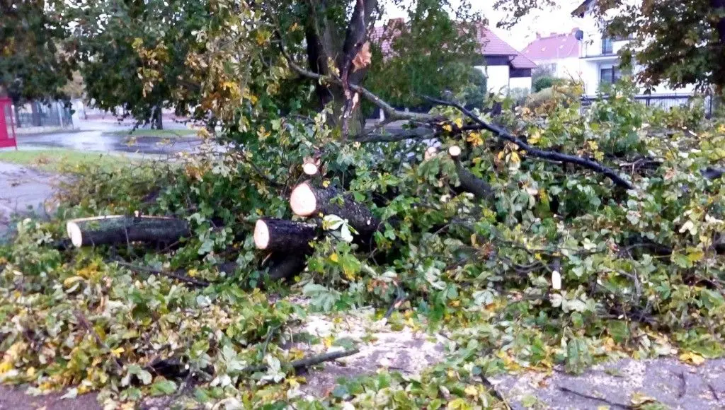 Zobacz, jakiego spustoszenia dokonała nawałnica w Bolesławcu