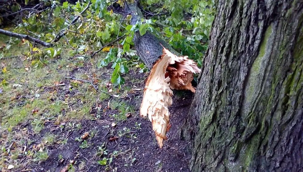 Zobacz, jakiego spustoszenia dokonała nawałnica w Bolesławcu