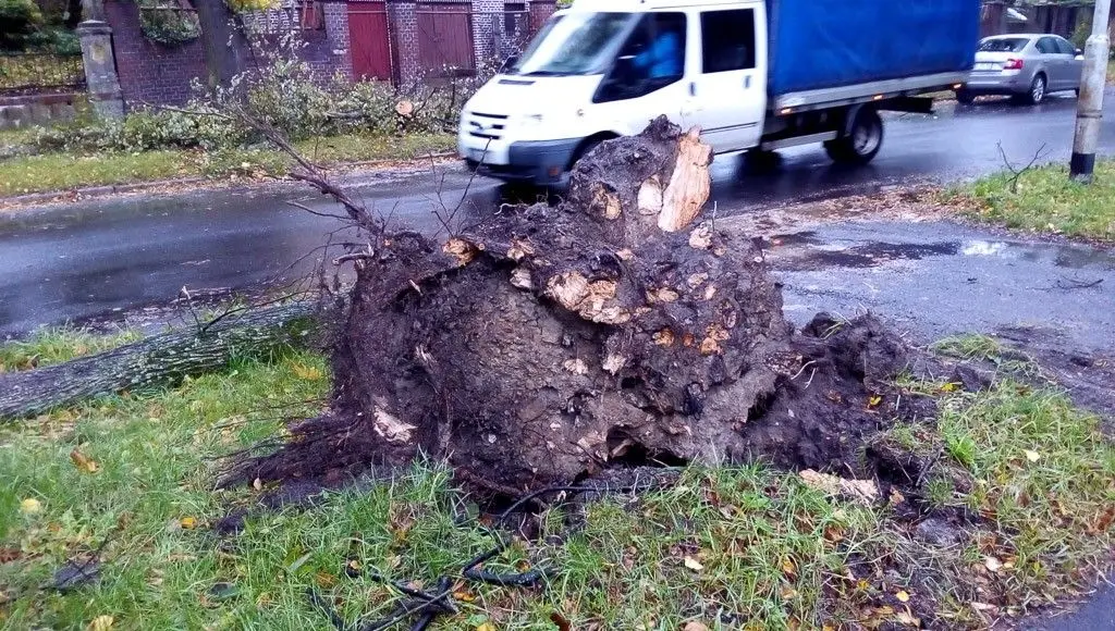 Zobacz, jakiego spustoszenia dokonała nawałnica w Bolesławcu