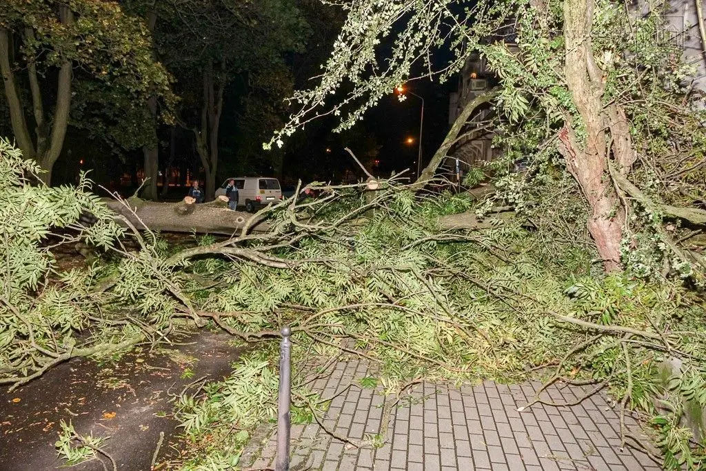 Masakryczna wichura szaleje w powiecie. Nie wychodźcie z domu