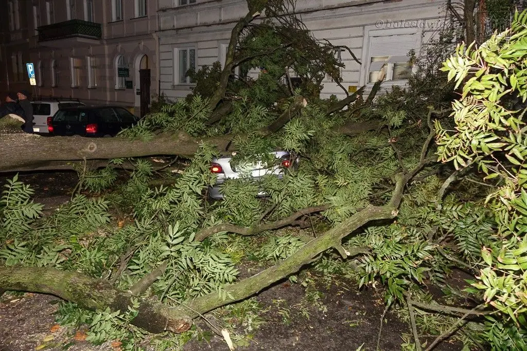 Masakryczna wichura szaleje w powiecie. Nie wychodźcie z domu