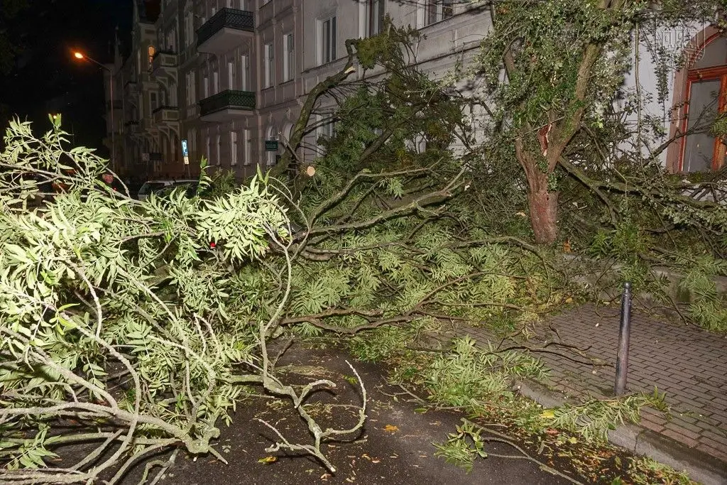 Masakryczna wichura szaleje w powiecie. Nie wychodźcie z domu