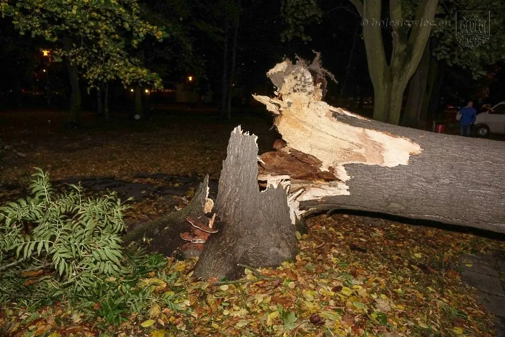 Masakryczna wichura szaleje w powiecie. Nie wychodźcie z domu