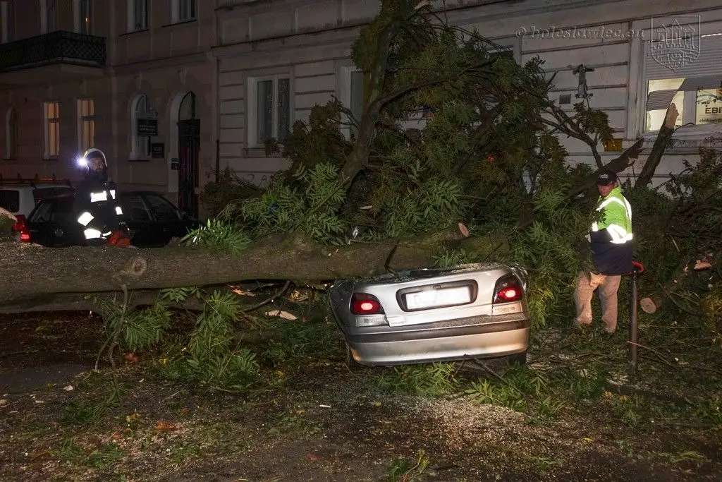 Masakryczna wichura szaleje w powiecie. Nie wychodźcie z domu