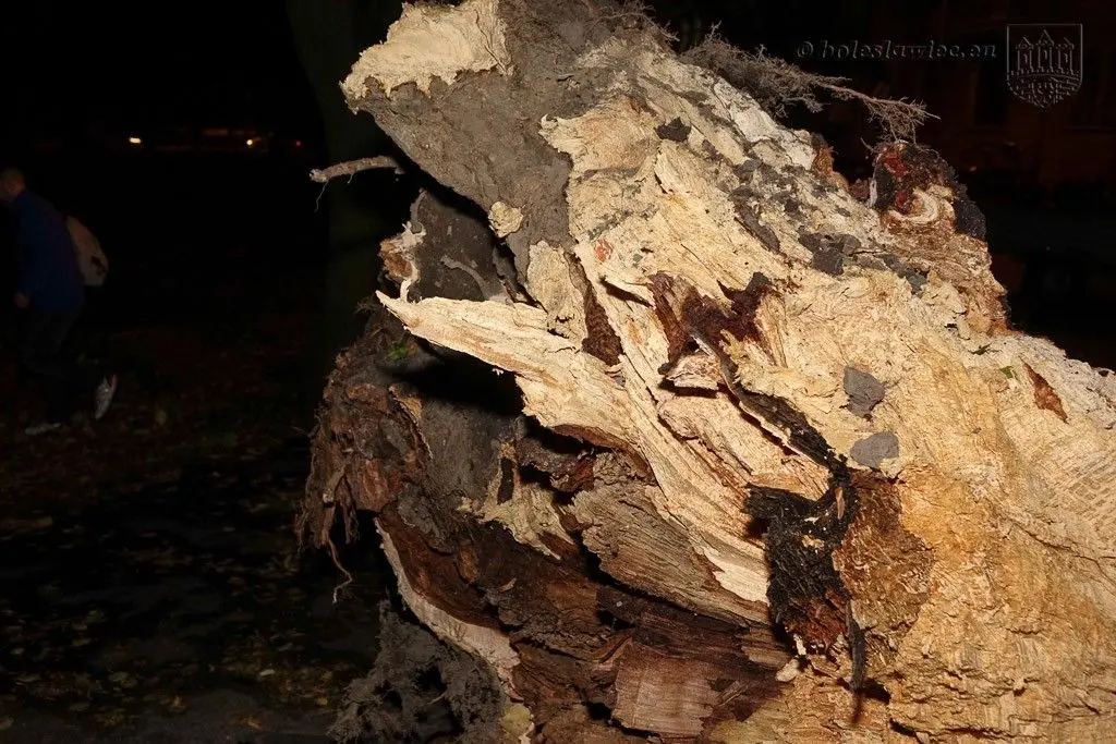 Masakryczna wichura szaleje w powiecie. Nie wychodźcie z domu