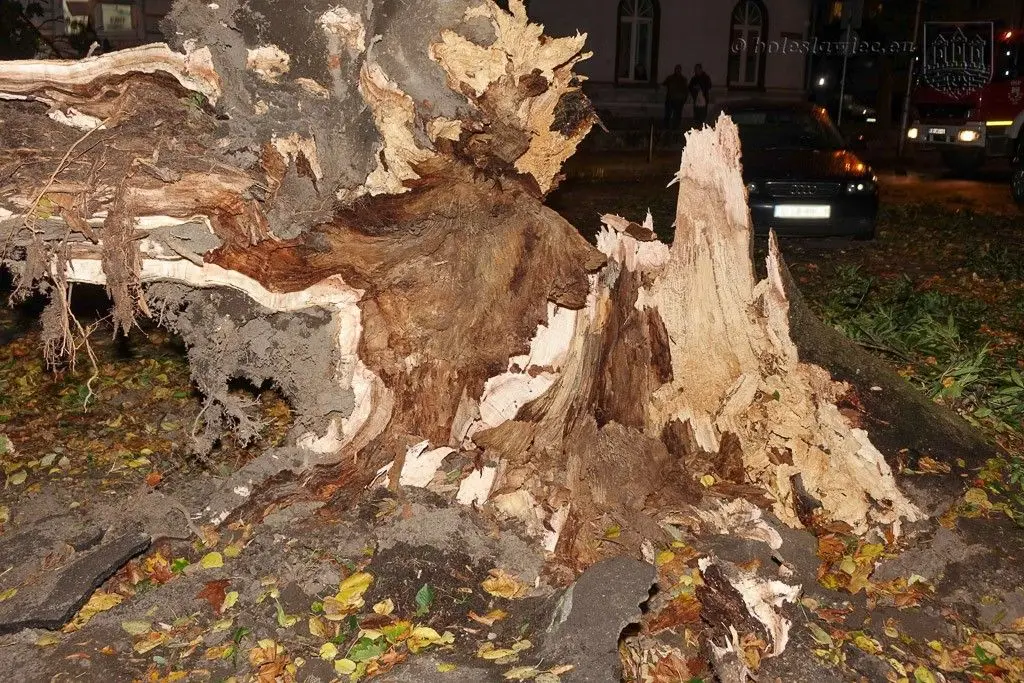 Masakryczna wichura szaleje w powiecie. Nie wychodźcie z domu