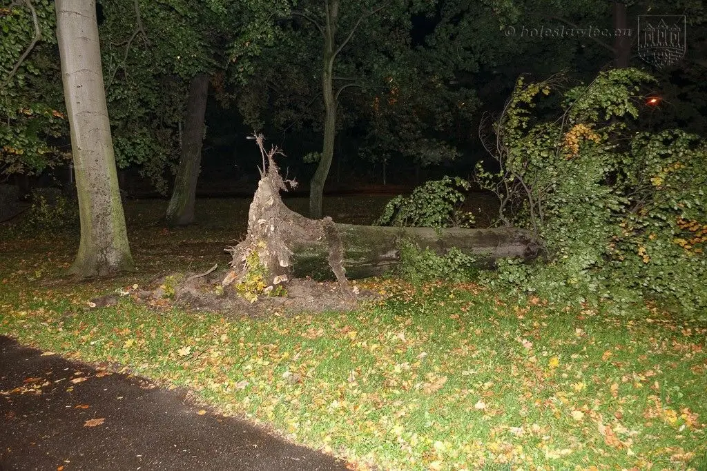 Masakryczna wichura szaleje w powiecie. Nie wychodźcie z domu