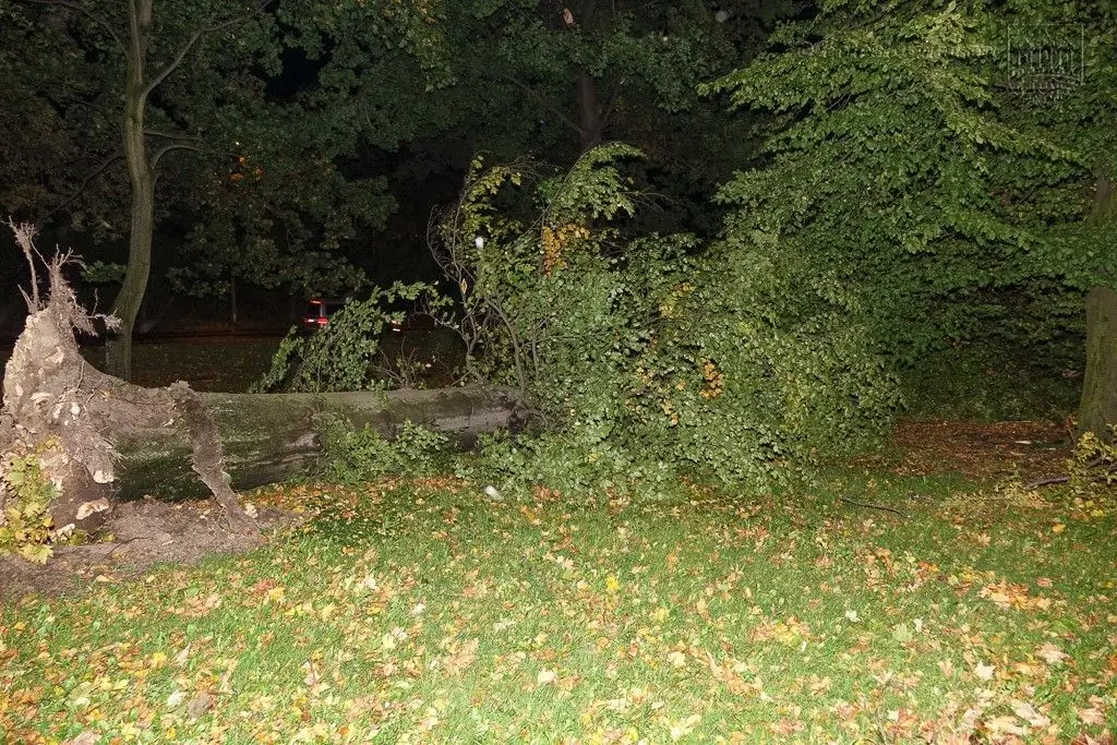 Masakryczna wichura szaleje w powiecie. Nie wychodźcie z domu