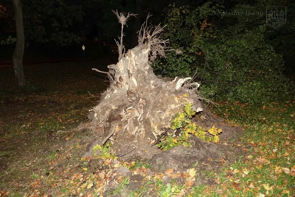 Masakryczna wichura szaleje w powiecie. Nie wychodźcie z domu