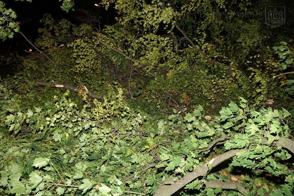 Masakryczna wichura szaleje w powiecie. Nie wychodźcie z domu