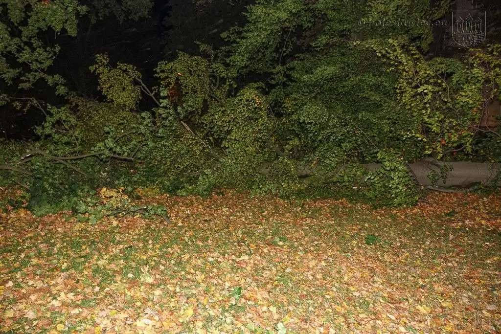 Masakryczna wichura szaleje w powiecie. Nie wychodźcie z domu