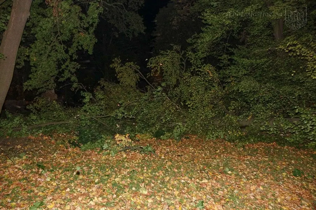 Masakryczna wichura szaleje w powiecie. Nie wychodźcie z domu