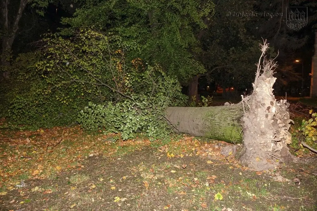 Masakryczna wichura szaleje w powiecie. Nie wychodźcie z domu