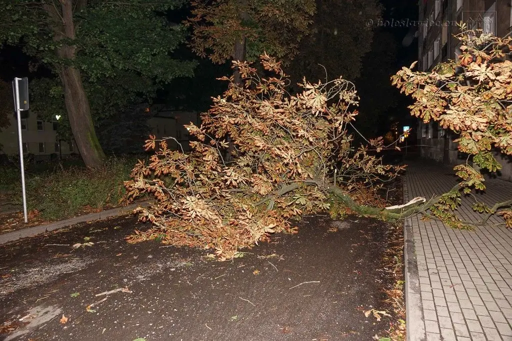 Masakryczna wichura szaleje w powiecie. Nie wychodźcie z domu