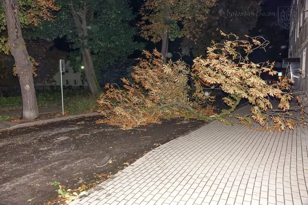 Masakryczna wichura szaleje w powiecie. Nie wychodźcie z domu