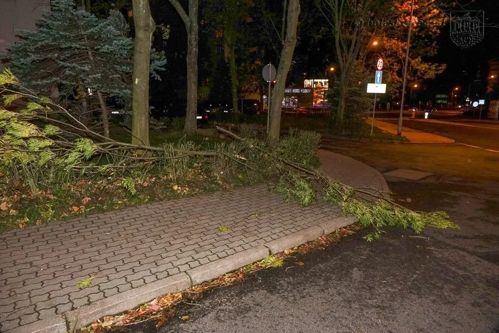 Masakryczna wichura szaleje w powiecie. Nie wychodźcie z domu