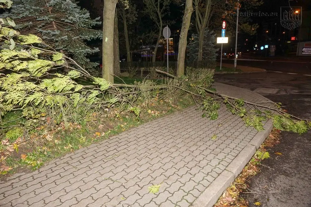 Masakryczna wichura szaleje w powiecie. Nie wychodźcie z domu