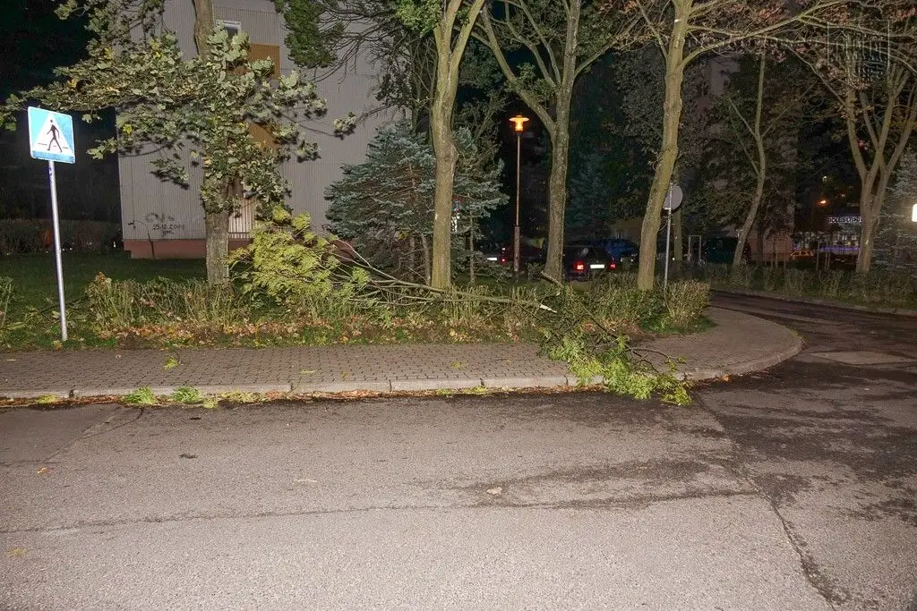 Masakryczna wichura szaleje w powiecie. Nie wychodźcie z domu