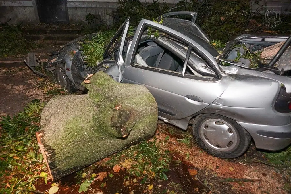 Masakryczna wichura szaleje w powiecie. Nie wychodźcie z domu