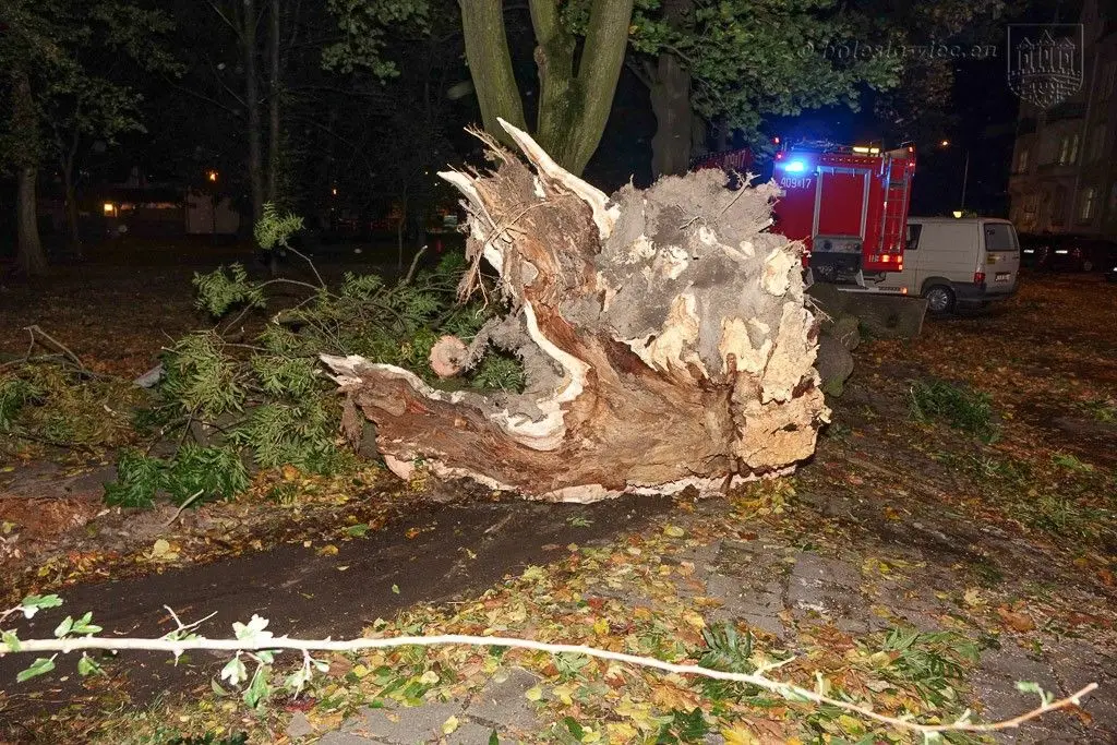 Masakryczna wichura szaleje w powiecie. Nie wychodźcie z domu