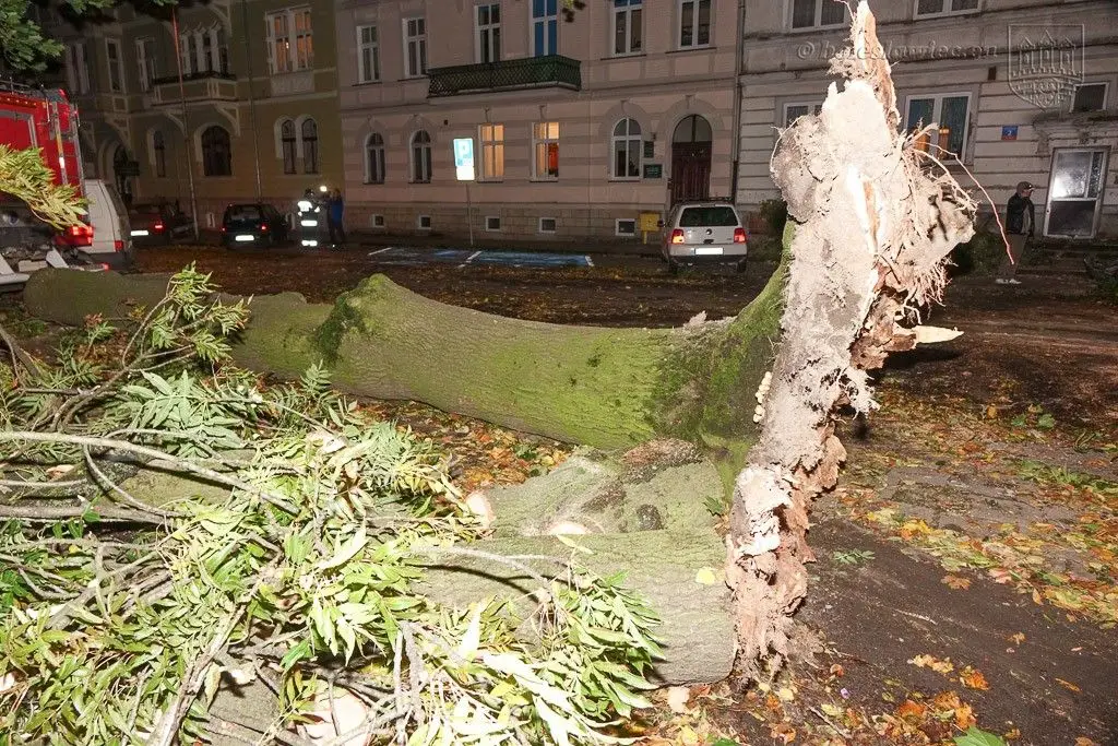 Masakryczna wichura szaleje w powiecie. Nie wychodźcie z domu