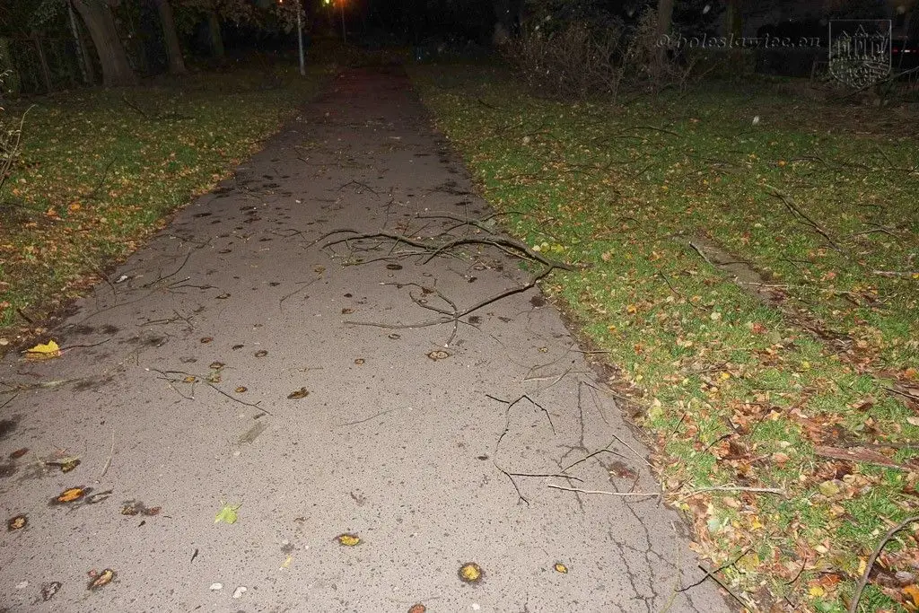 Masakryczna wichura szaleje w powiecie. Nie wychodźcie z domu