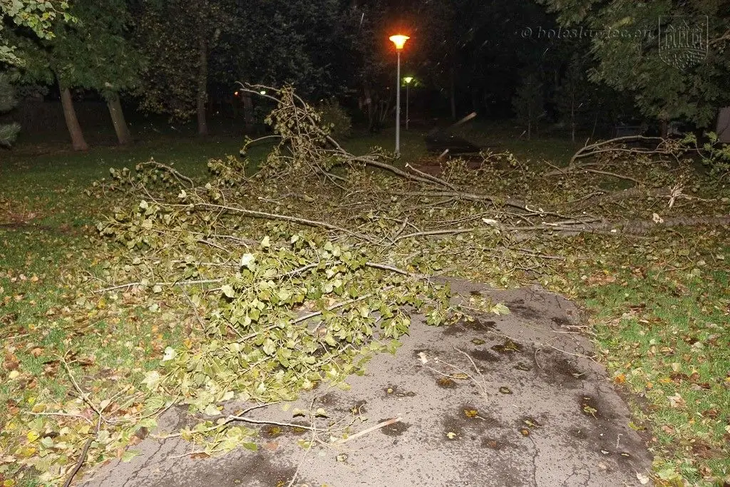 Masakryczna wichura szaleje w powiecie. Nie wychodźcie z domu