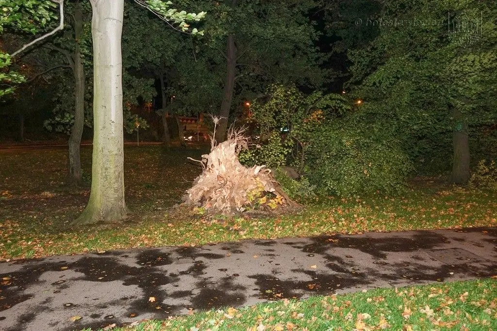 Masakryczna wichura szaleje w powiecie. Nie wychodźcie z domu