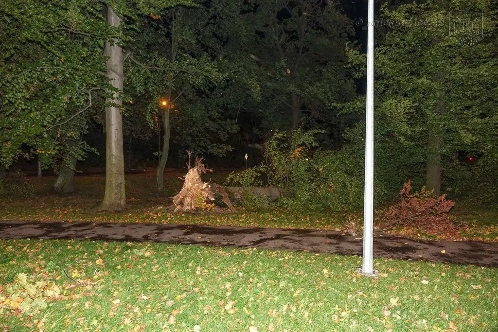 Masakryczna wichura szaleje w powiecie. Nie wychodźcie z domu