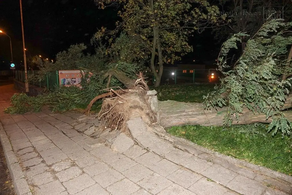 Masakryczna wichura szaleje w powiecie. Nie wychodźcie z domu