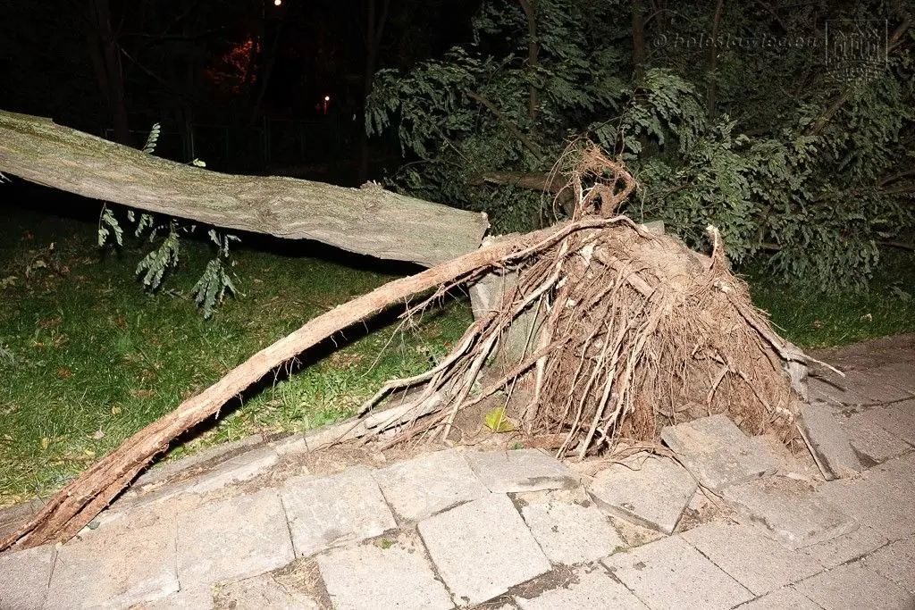 Masakryczna wichura szaleje w powiecie. Nie wychodźcie z domu