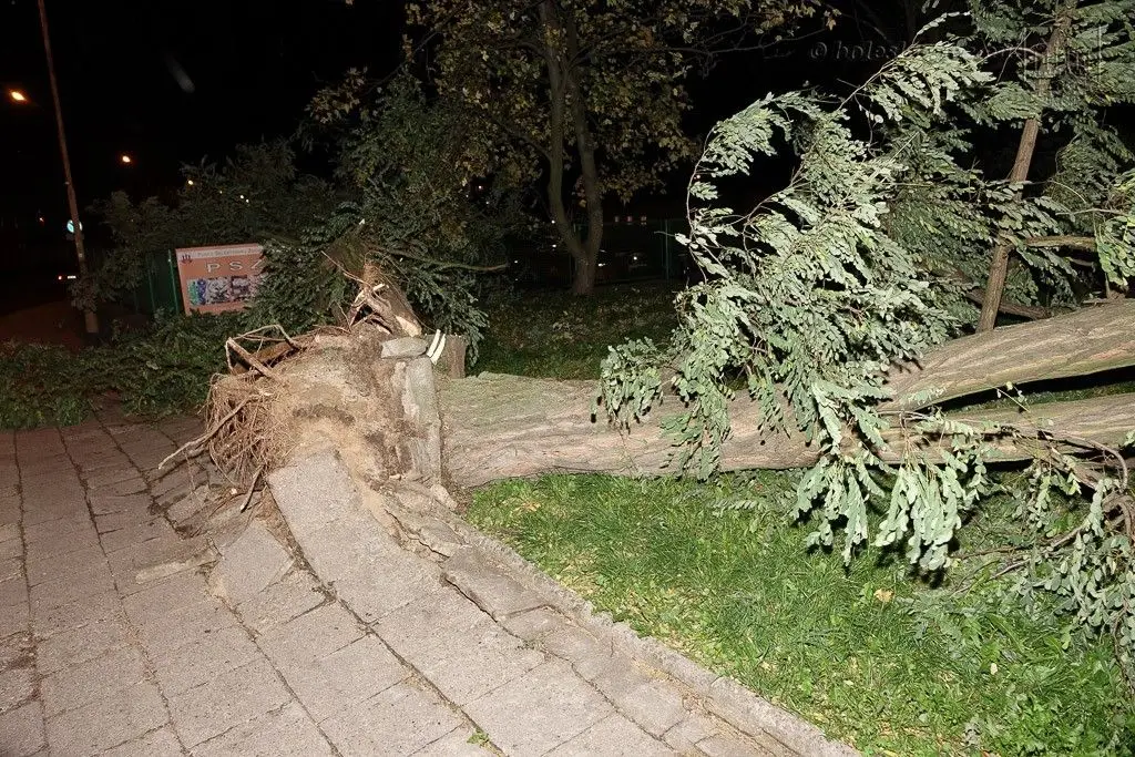 Masakryczna wichura szaleje w powiecie. Nie wychodźcie z domu