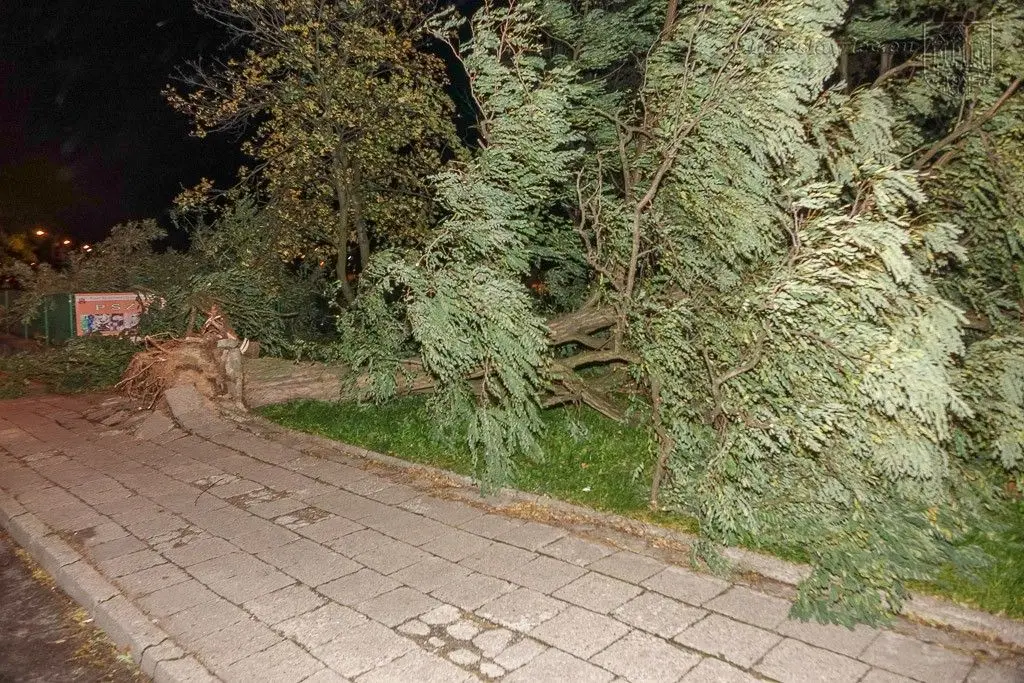 Masakryczna wichura szaleje w powiecie. Nie wychodźcie z domu
